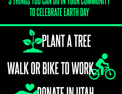 3 Things You Can Do In Your Community to Celebrate Earth Day